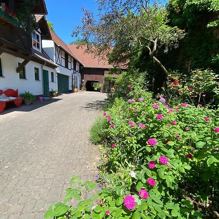 Wohnen & Kunst Apartment Bad Rodach Exterior photo